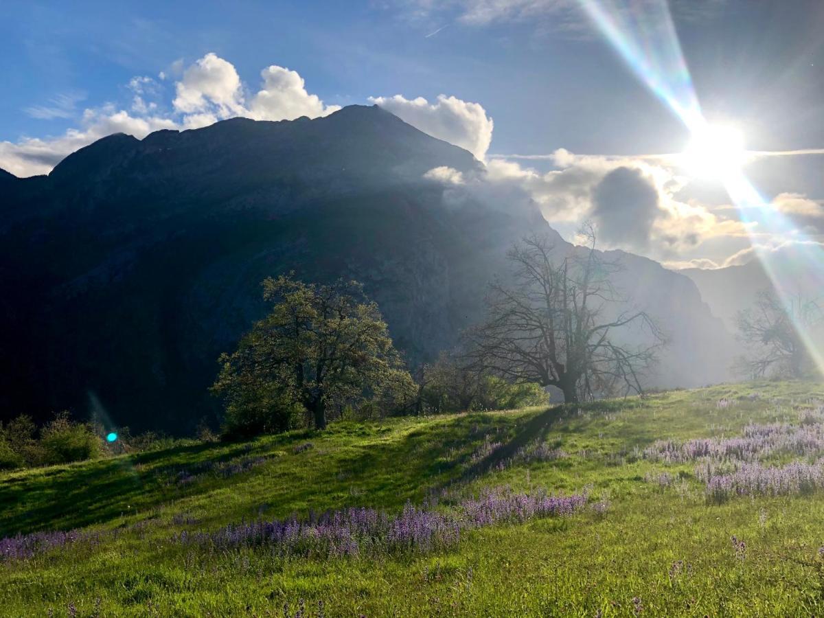 Hostal La Cuna del Sella Oseja de Sajambre Esterno foto